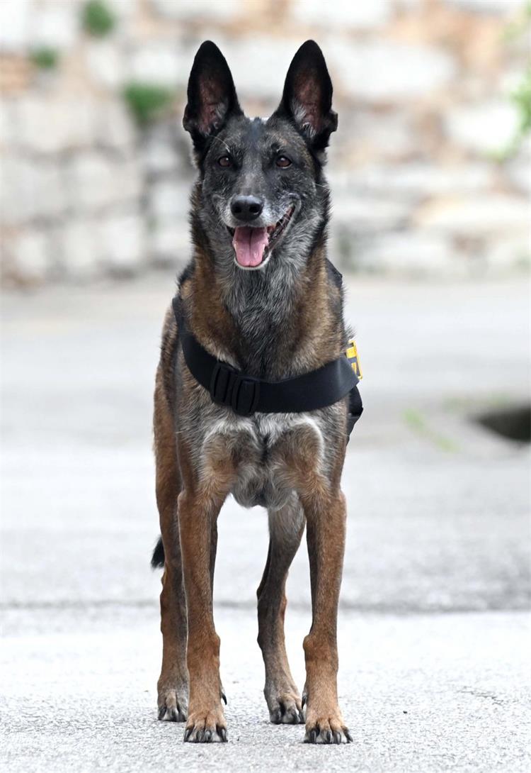 Slika /slike/rain 3.jpg